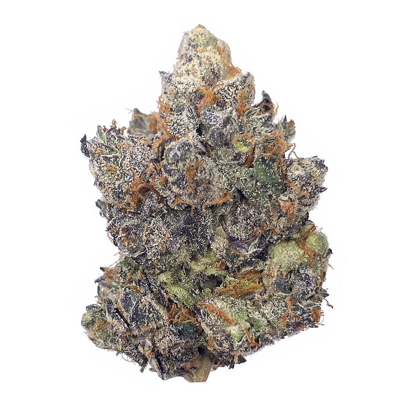 KAMIKAZI PINK SHERBET 2.JPG 477