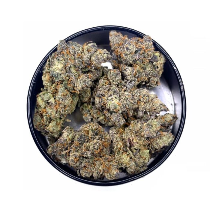 KAMIKAZI PINK SHERBET STRAIN.JPG 4595 2 700x700 - Pink Sherbet - AAAA - $200/Oz