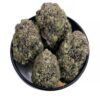 Pink Tuna smalls