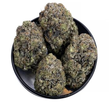 KAMIKAZI PINK TUNA 4.JPG 4497