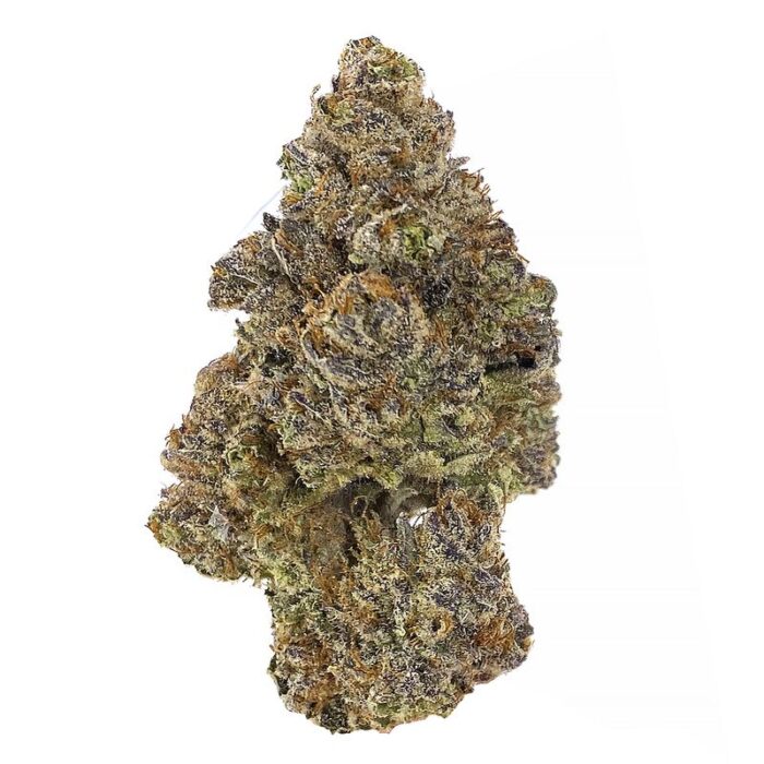 KAMIKAZI PLATINUM KUSH BREATH 1.JPG 748 2 700x700 - Platinum Kush Breath - AAAA+