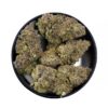 KAMIKAZI PLATINUM KUSH BREATH 3.JPG 5847 2 100x100 - Platinum Kush Breath - AAAA+