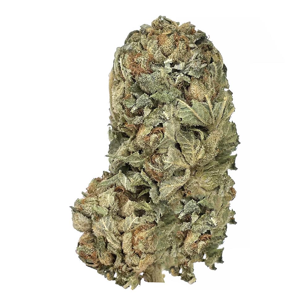 KAMIKAZI PURPLE KUSH 11.JPG 525