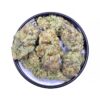 KAMIKAZI PURPLE PUNK 2.JPG 4954 2 100x100 - Purple Punch - AAA - $90/Oz