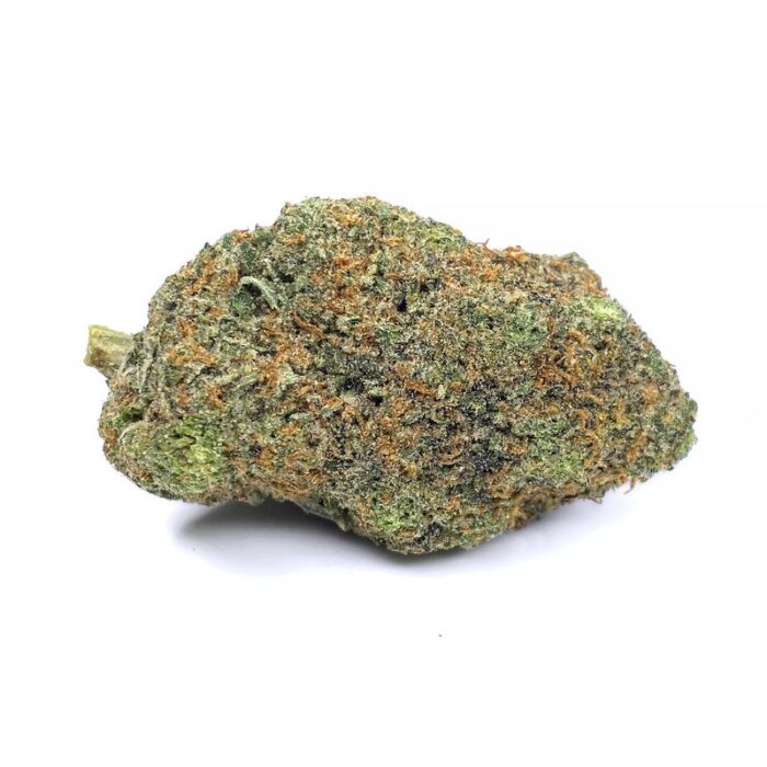 KAMIKAZI PURPLE URKLE 2.JPG 1388 2 700x700 - Purple Urkle – AAA