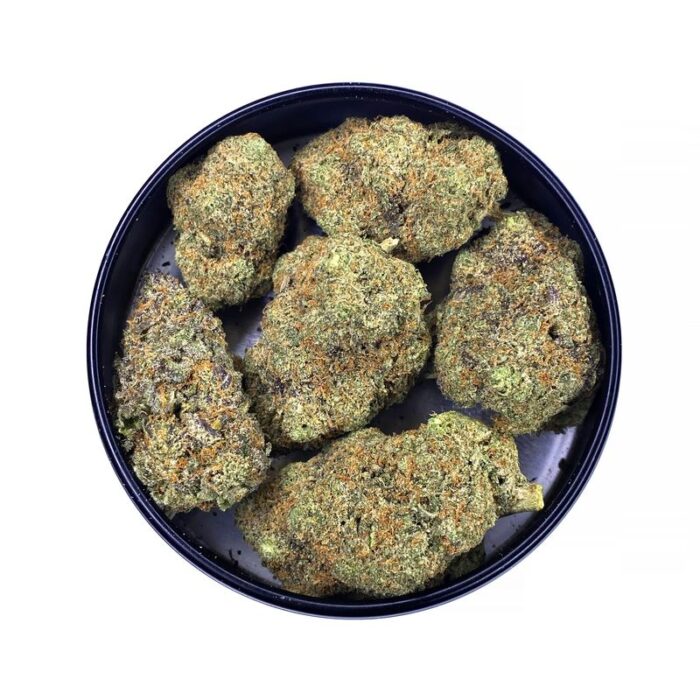 KAMIKAZI PURPLE URKLE 3.JPG 5001 2 700x700 - Purple Urkle – AAA