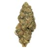 KAMIKAZI RECON 11.JPG 712 2 100x100 - Recon - AA+ - $65/Oz