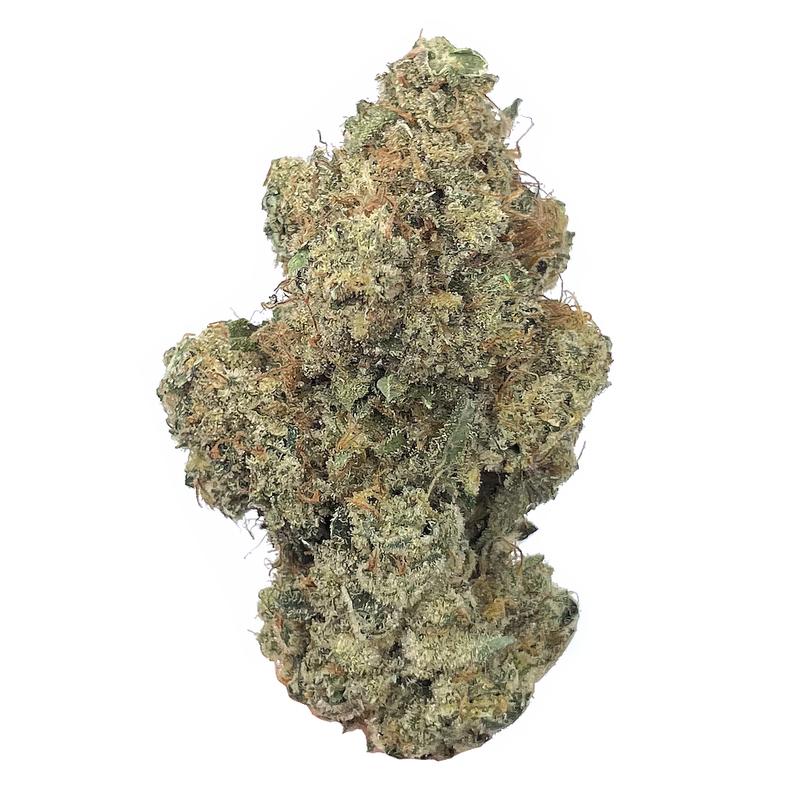 KAMIKAZI SCOTTIES COOKIES 1.JPG 446