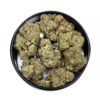 KAMIKAZI SD3.JPG 4120 2 scaled 2 100x100 - Sour Diesel - AAA - $100/Oz