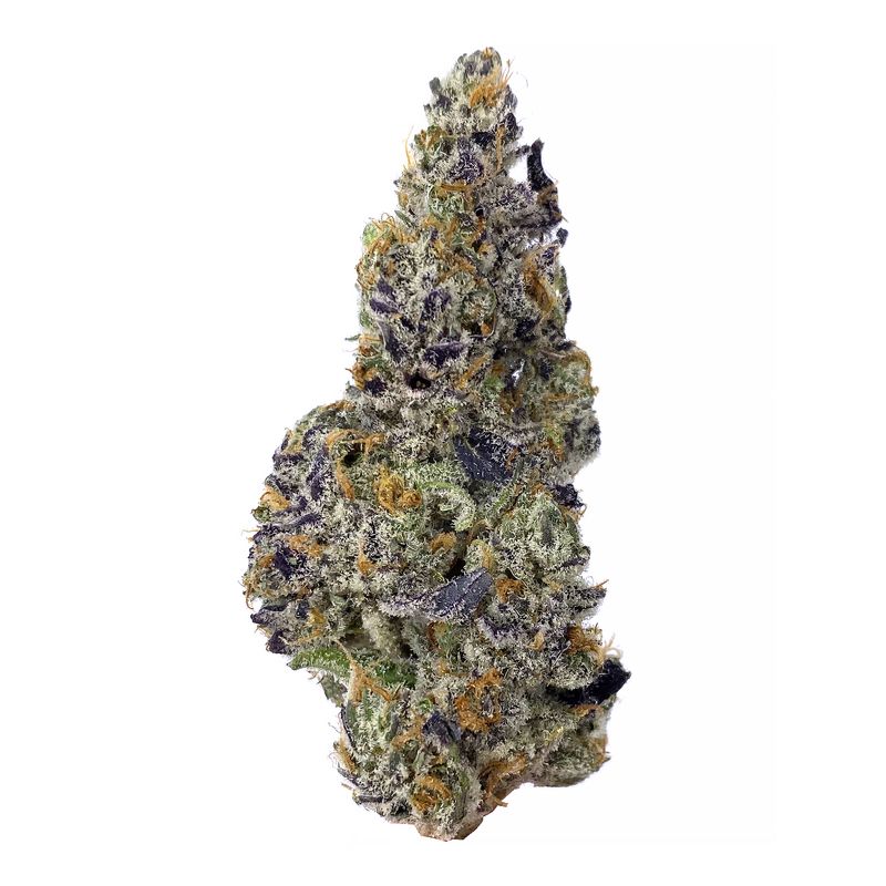 KAMIKAZI TANGERINE TWIST 1.JPG 2430