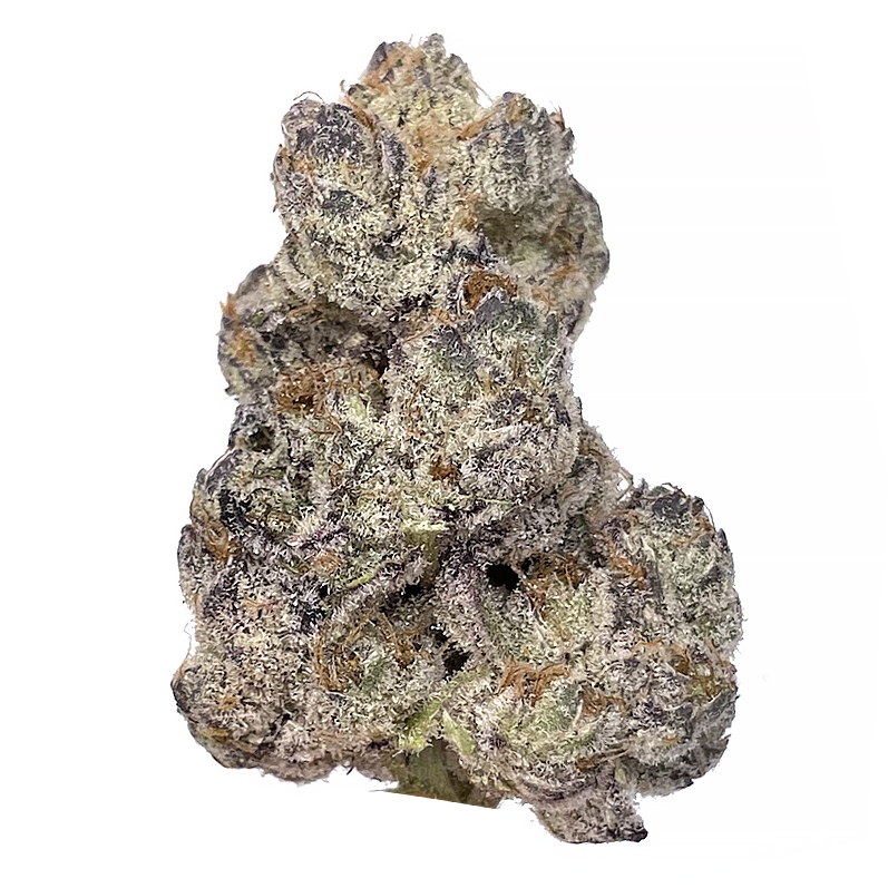 KAMIKAZI UNICORN POOP 3.JPG 403