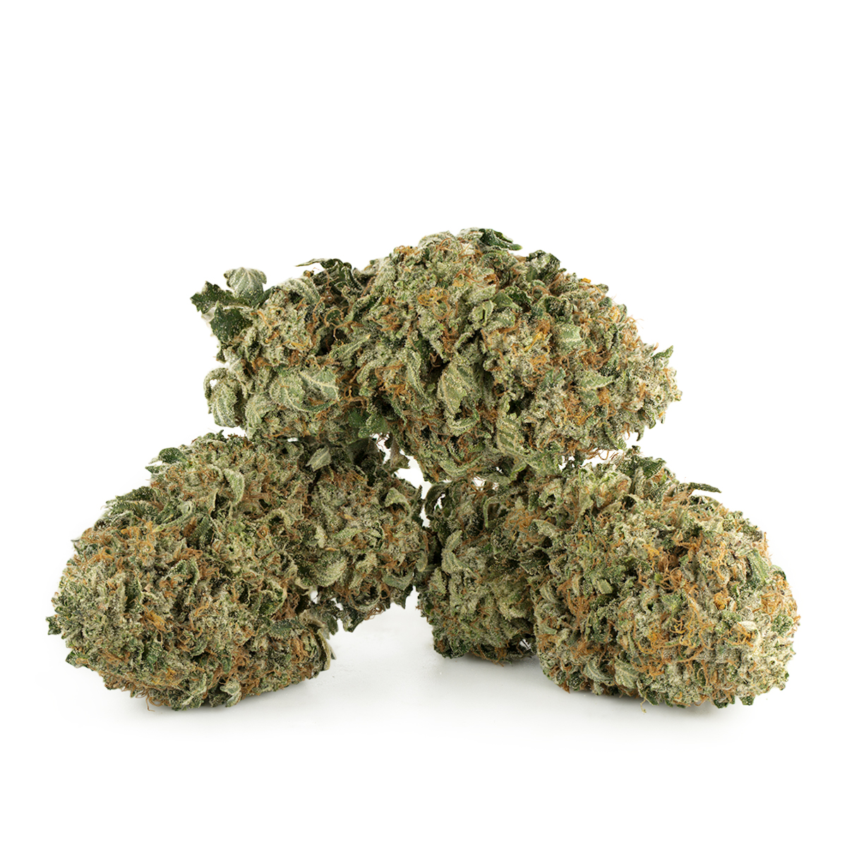 King Louis XIII Strain Multi Shot