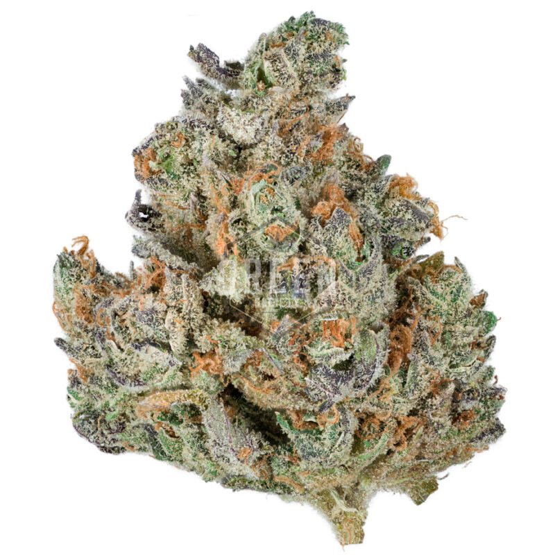 Kush Mints Strain