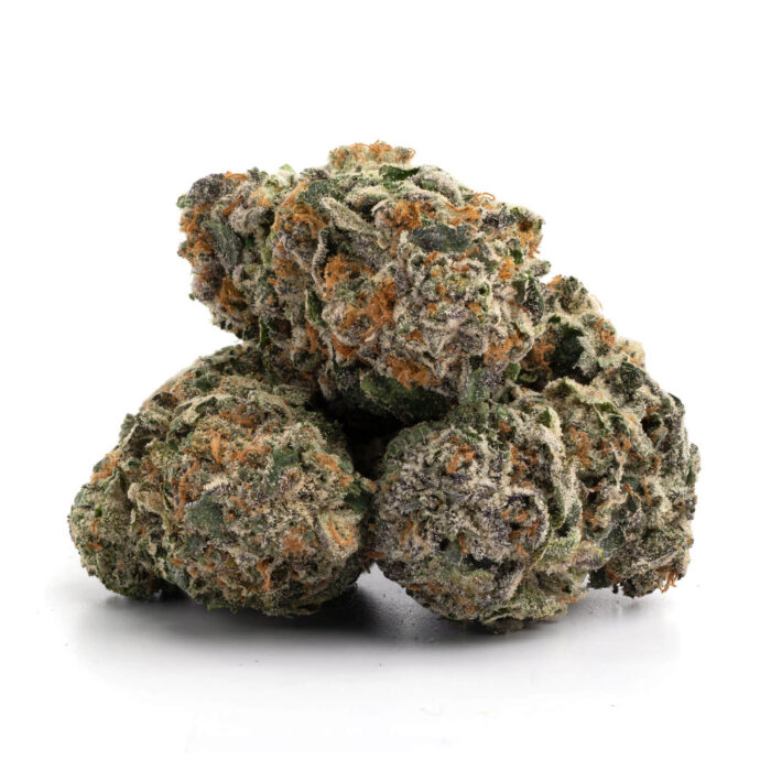 Master Kush 7 700x700 - Master Kush