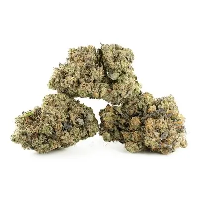 Master Kush low