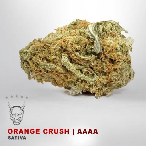ORANGE CRUSHKAMIKAZI 56 WEED DELIVERY TORONTO 510x510 - Orange Crush – AAAA