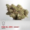 PINK EL JEFEKAMIKAZI 47 WEED DELIVERY TORONTO 100x100 - Pink El Jefe – AAAA+