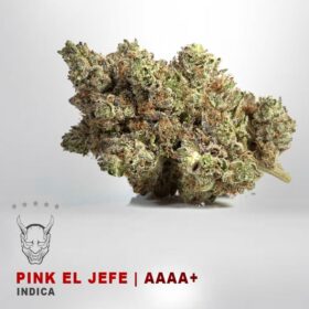 PINK EL JEFEKAMIKAZI 47 WEED DELIVERY TORONTO 280x280 - Pink El Jefe - AAAA+
