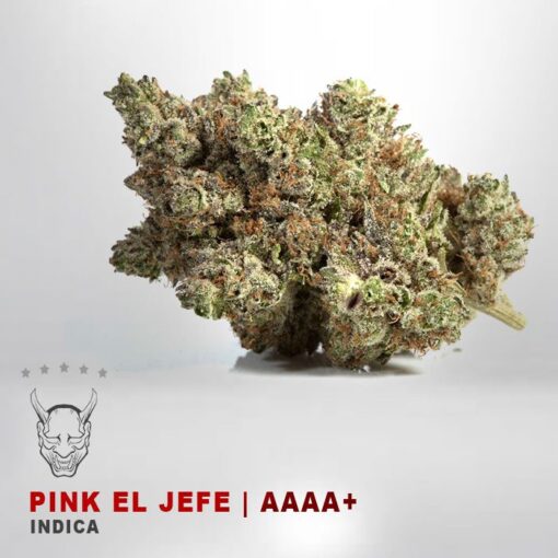 PINK EL JEFEKAMIKAZI 47 WEED DELIVERY TORONTO 510x510 - Pink El Jefe – AAAA+