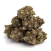 Purple Kush 11 100x100 - Purple Kush