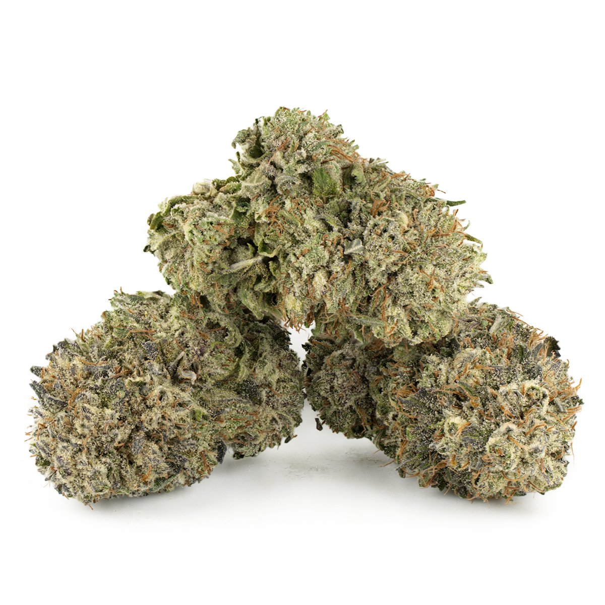 Purple Kush Multi Shot