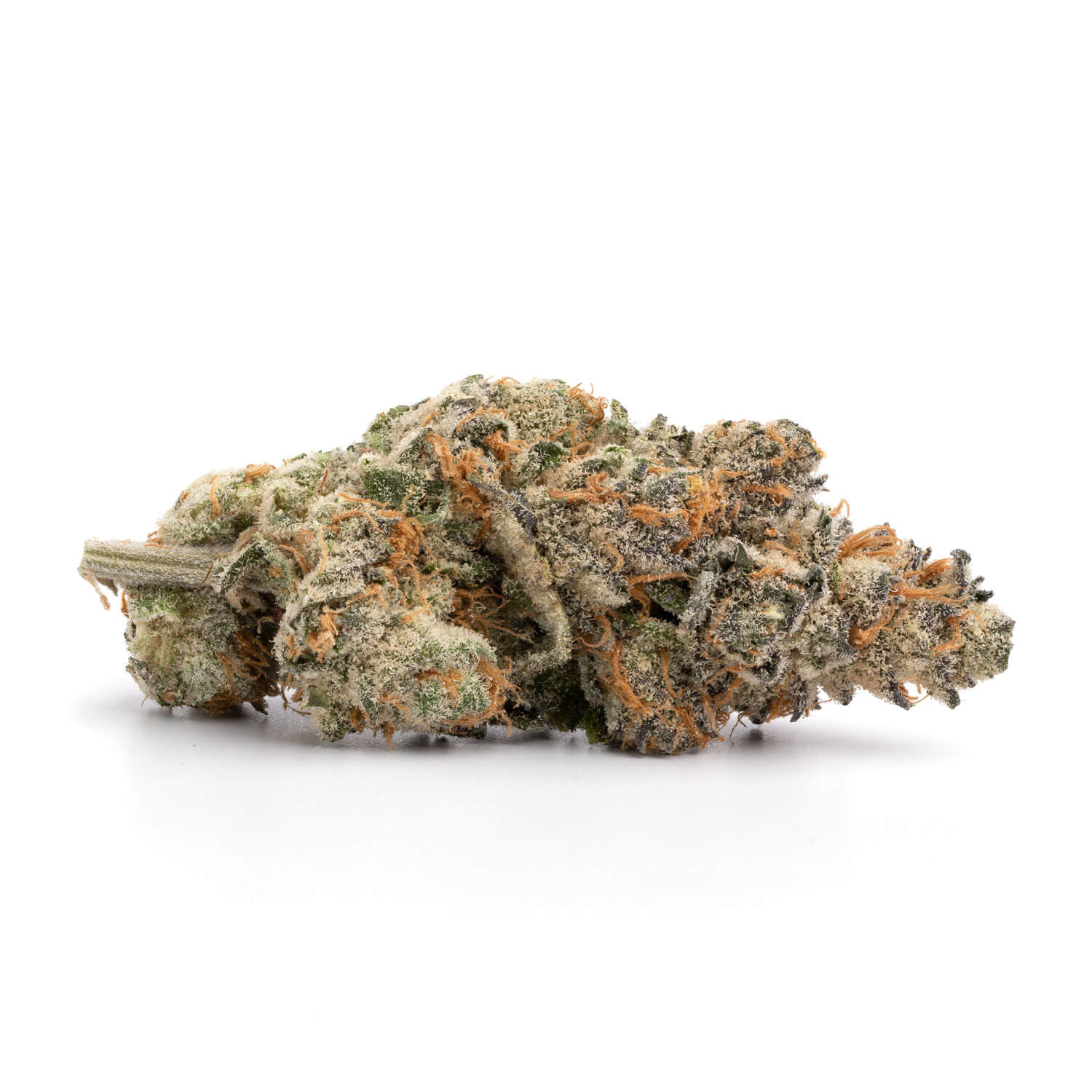 Shishkaberry 2