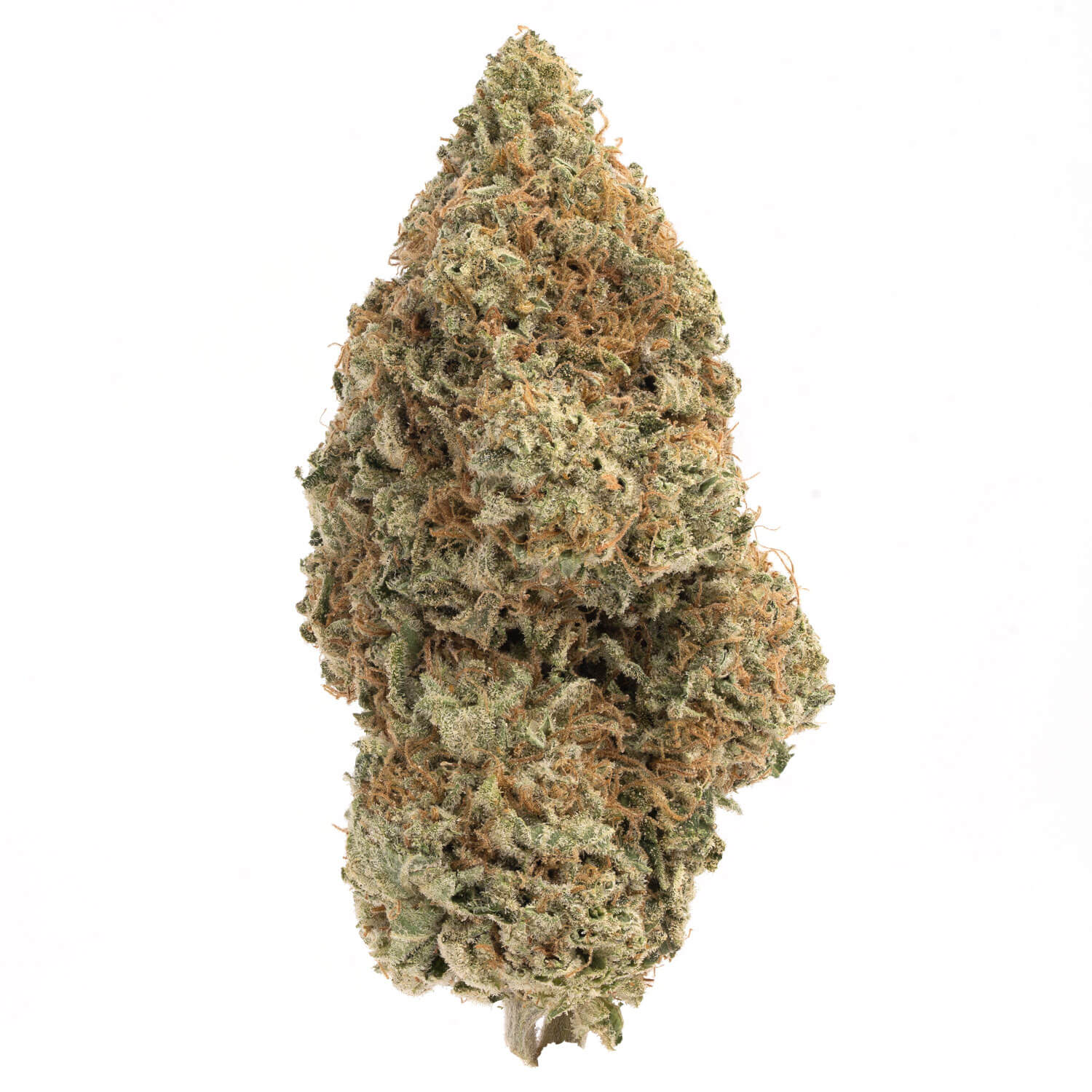 Slurricane 1