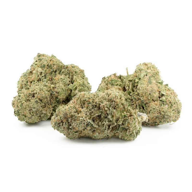 Sunset Sherbet Multi Shot