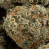 Topanga Canyon OG 10 100x100 - Topanga Canyon OG