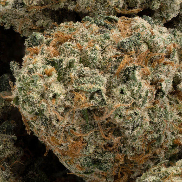 Topanga Canyon OG 10 700x700 - Topanga Canyon OG