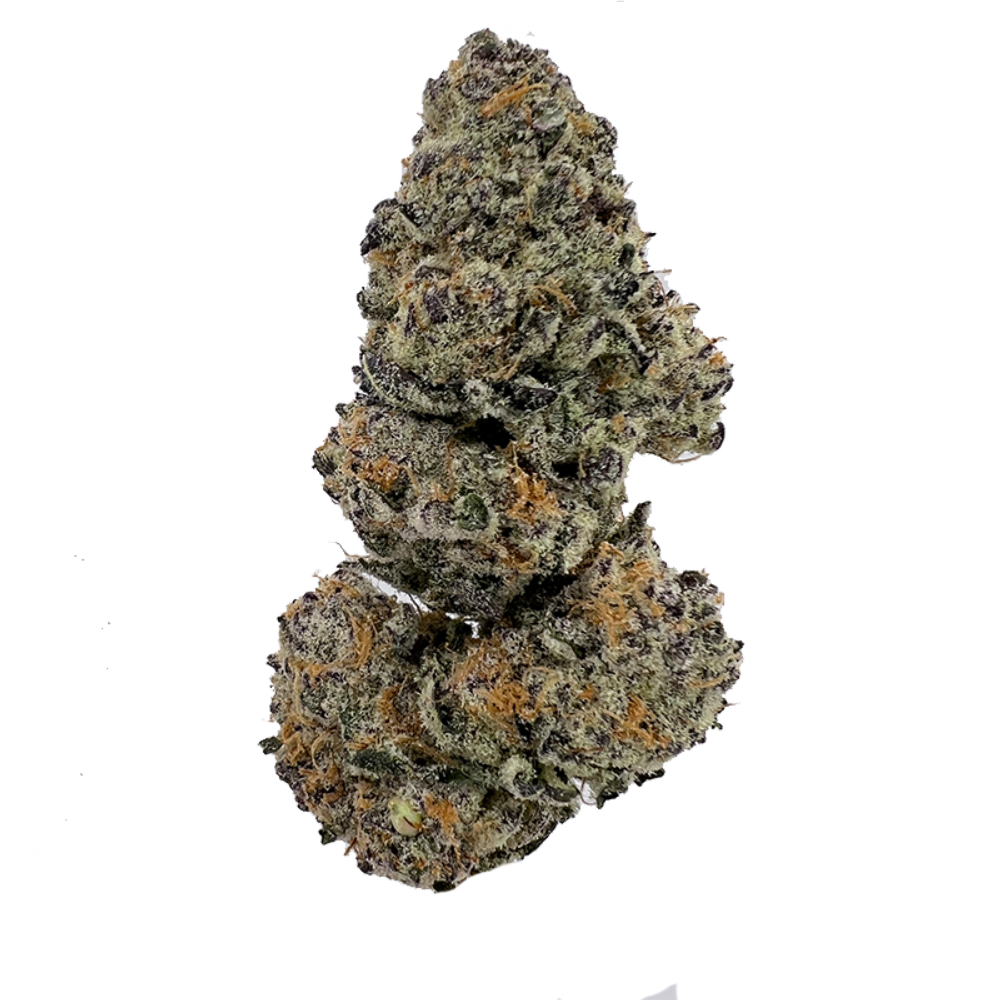 Sundae Driver Sativa Weed Delivery Gasdank Torontos Best Online Dispensary 9494