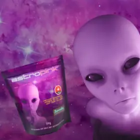 Weed Delivery - Online dispensary Toronto Gasdank | 1-2 Hour Delivery GTA ASTRO