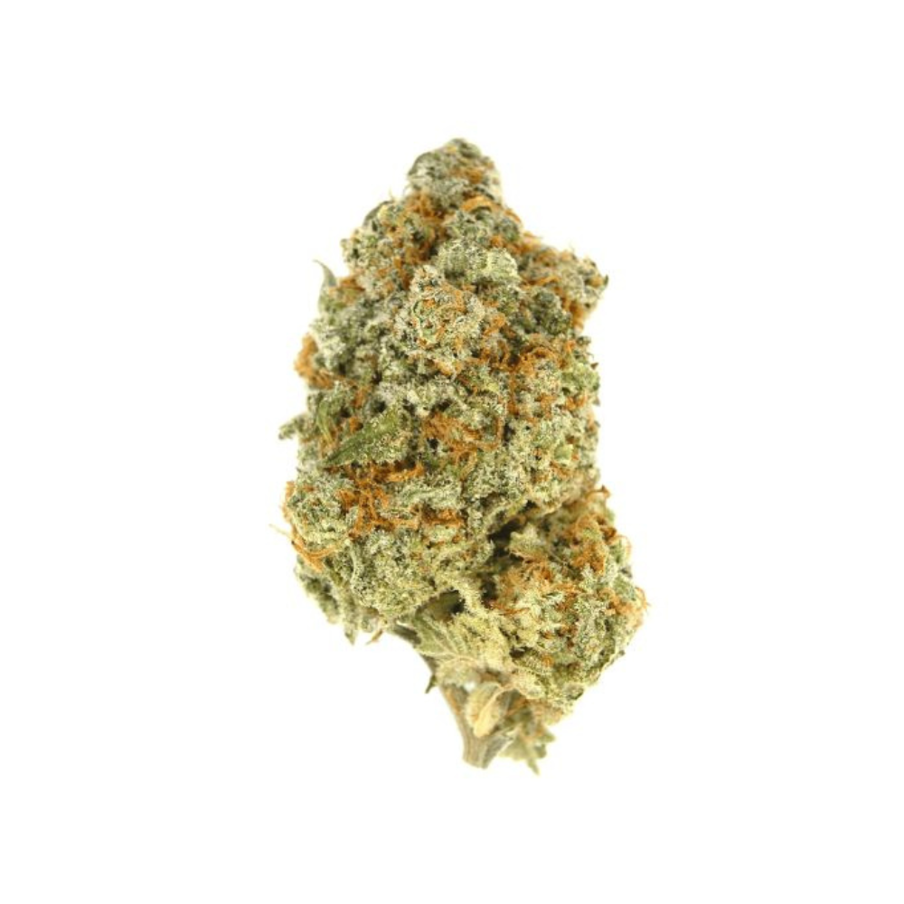 citrix-sativa-weed-delivery-gasdank-toronto-s-best-online-dispensary