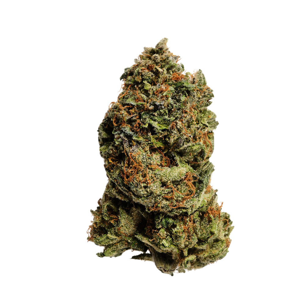 Killer Kush Indica Weed Delivery Gasdank Torontos Best Online