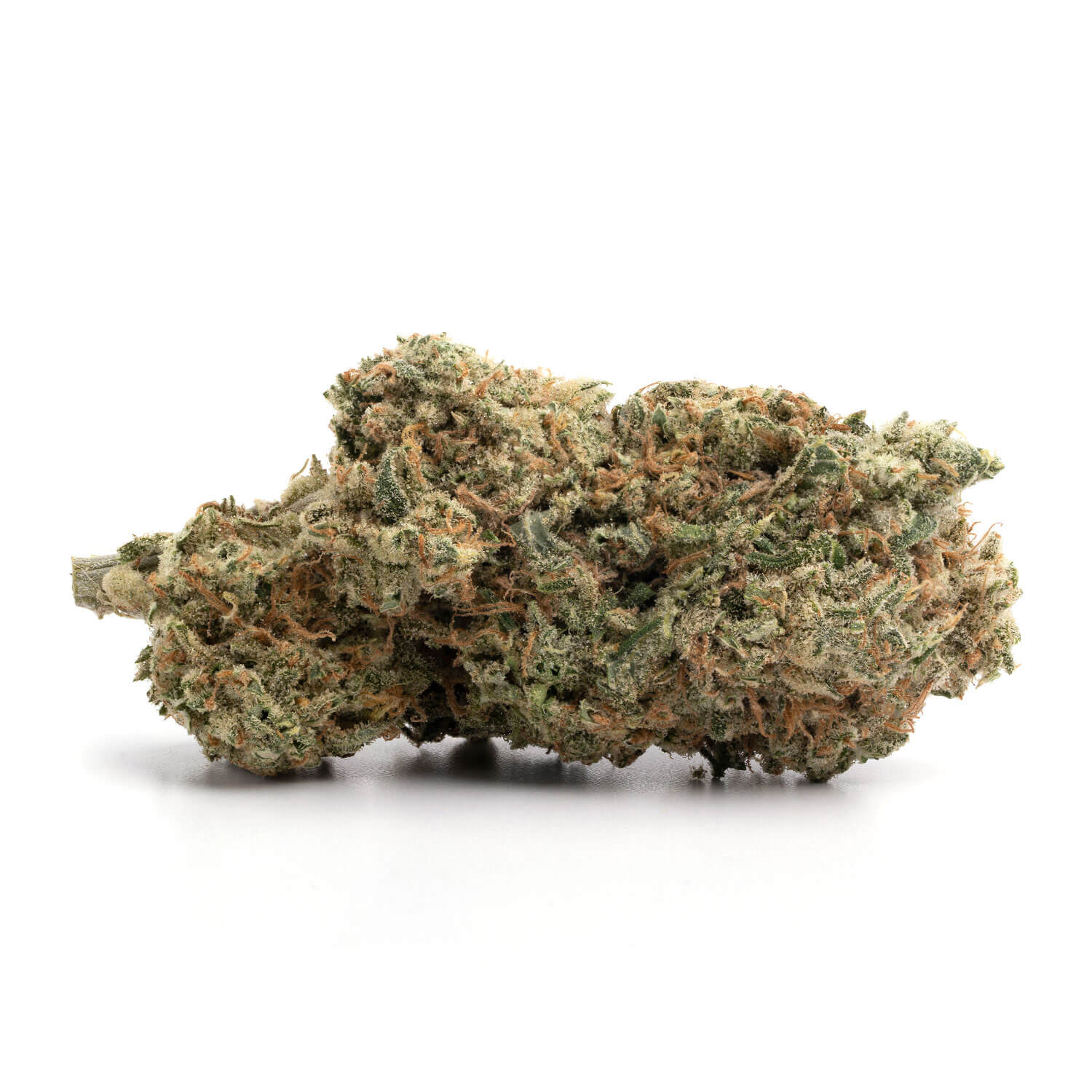 Toronto Cannabis Gasdank