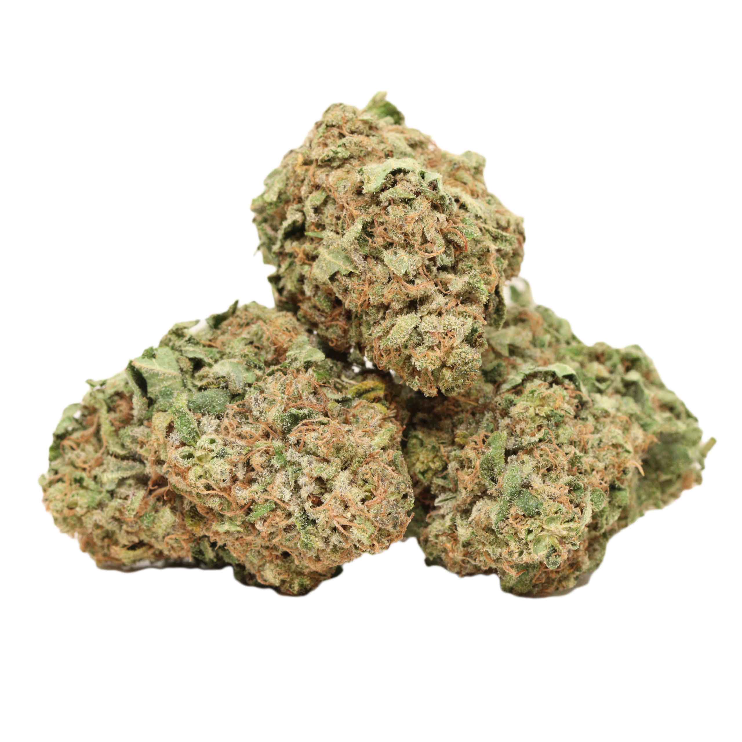 Toronto Cannabis Gasdank