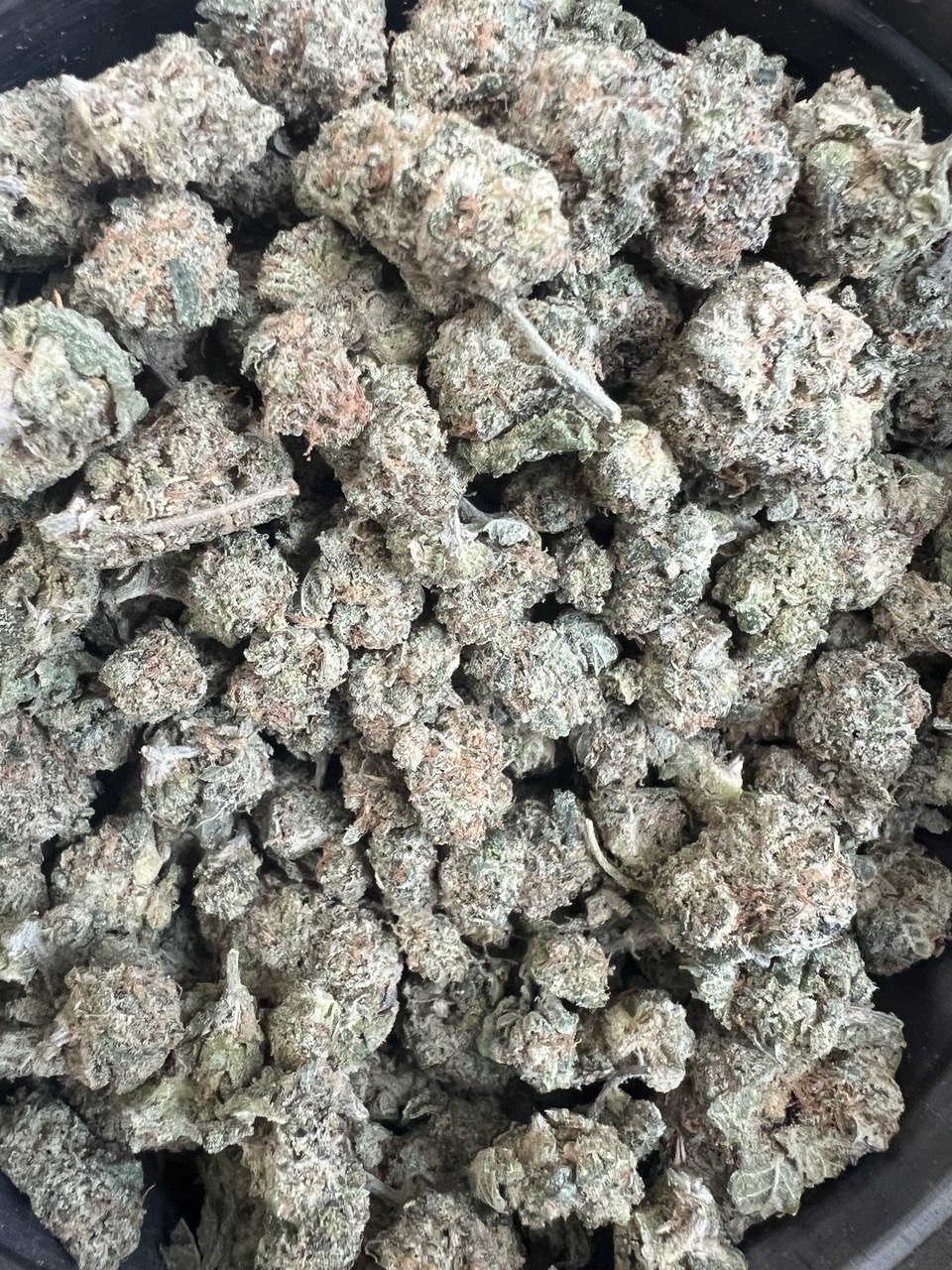 Toronto Cannabis Gasdank