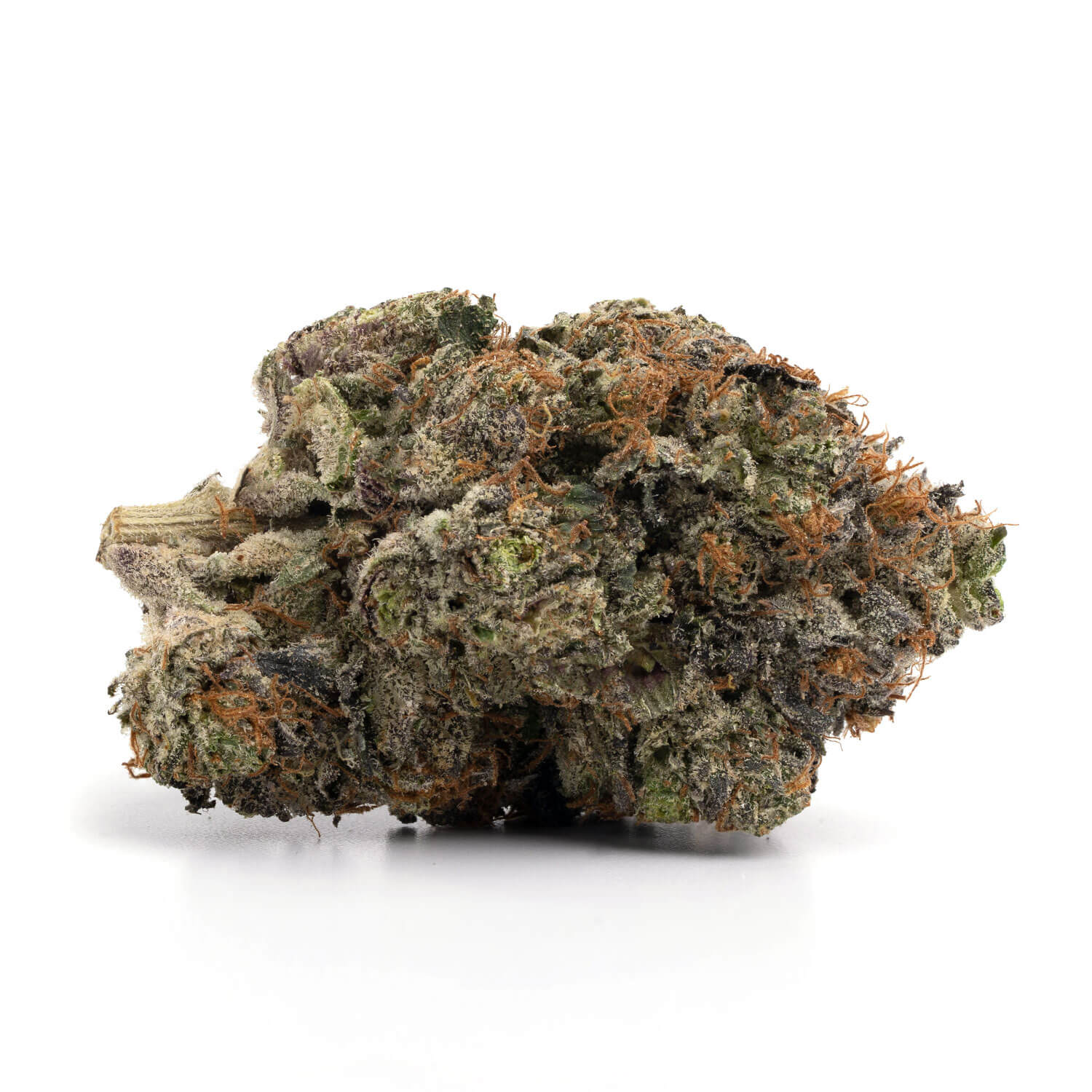 Toronto Cannabis Gasdank