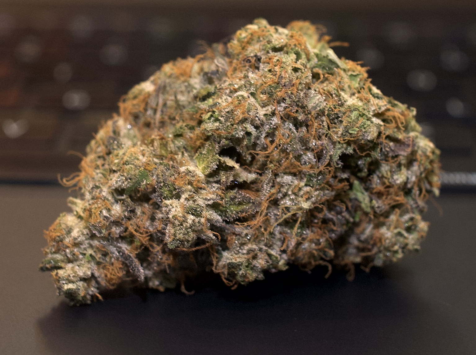 Toronto Cannabis Gasdank