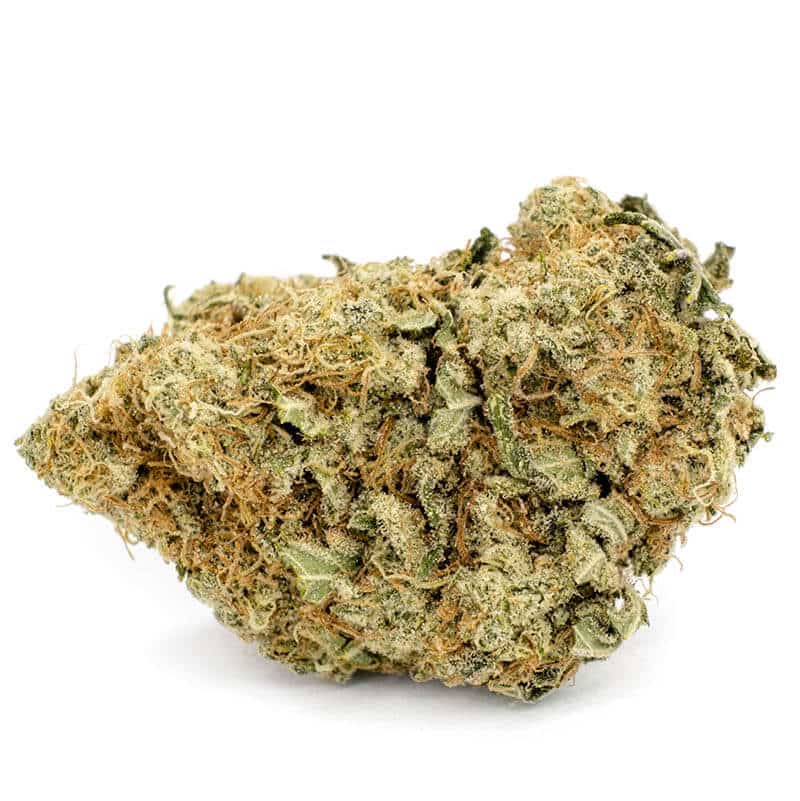 Toronto Cannabis Gasdank