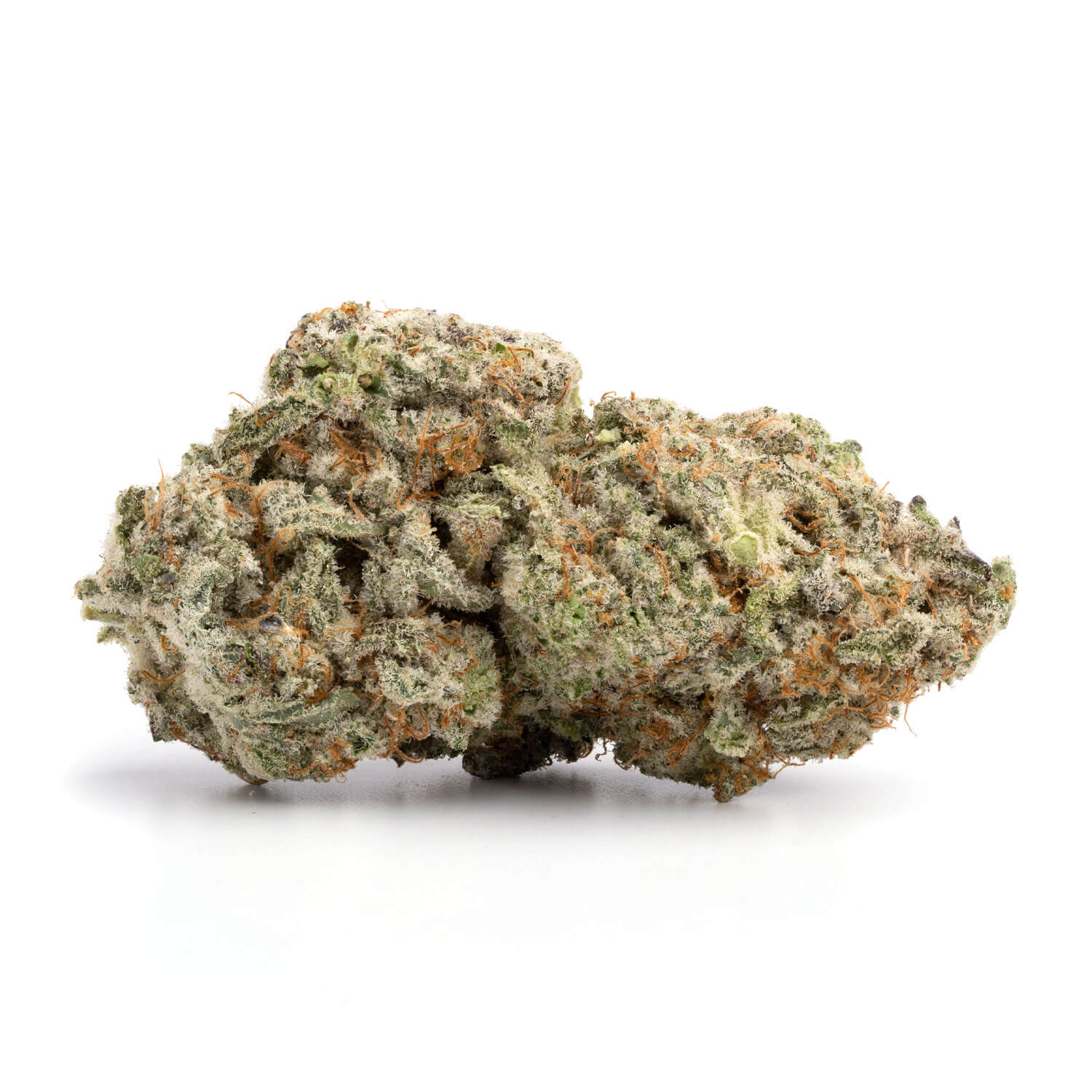 Toronto Cannabis Gasdank