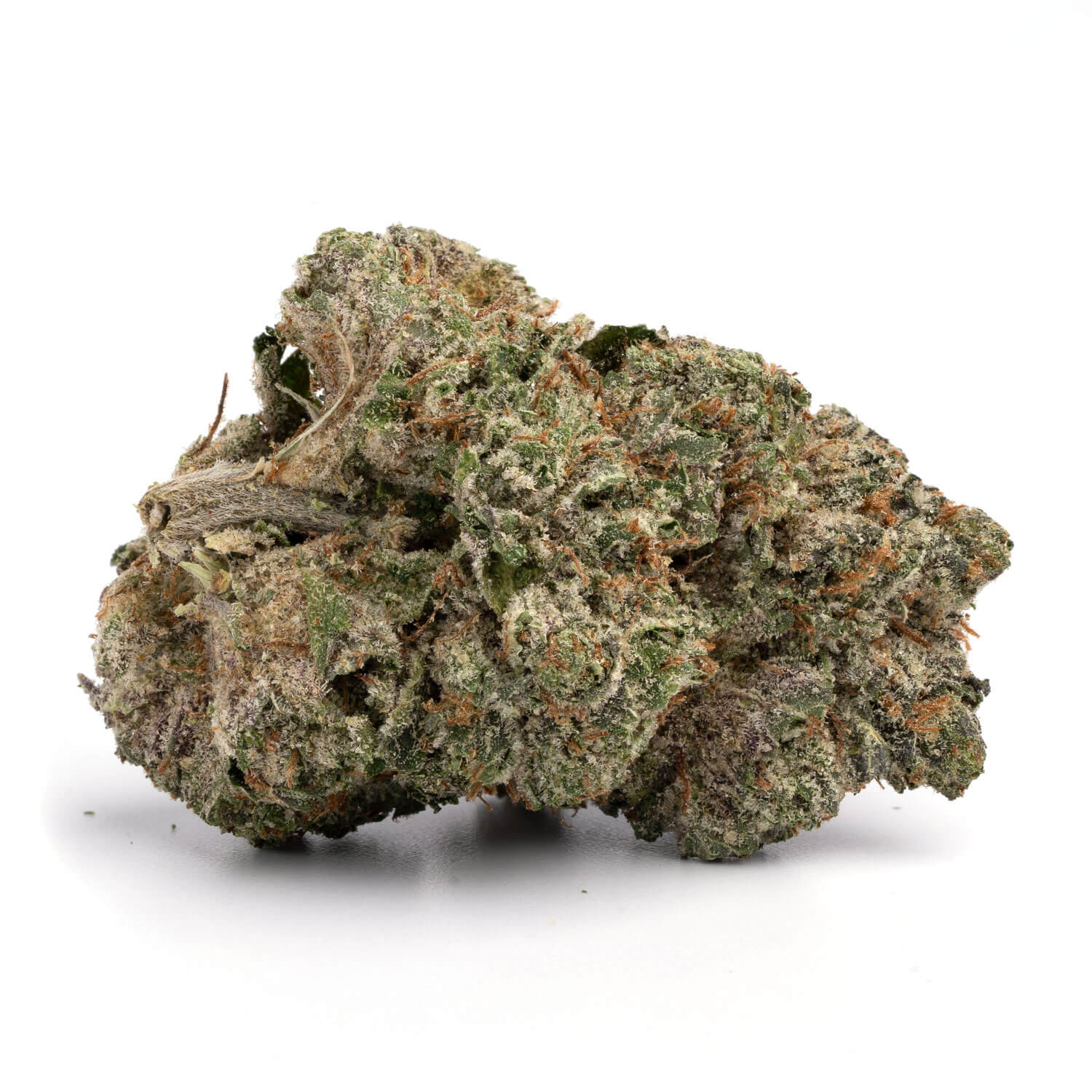 Toronto Cannabis Gasdank