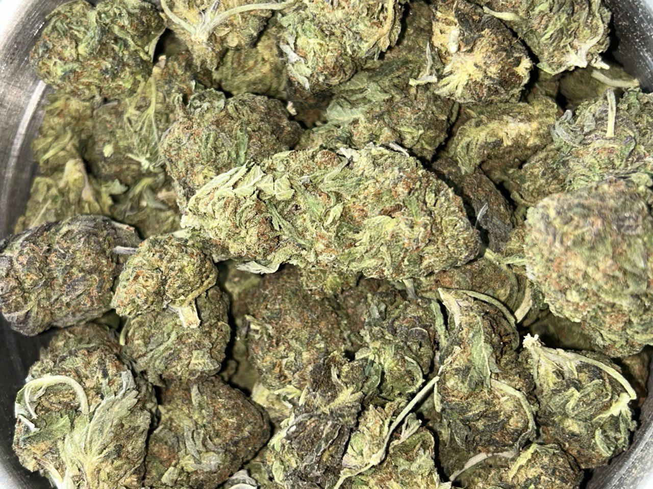 Toronto Cannabis Gasdank