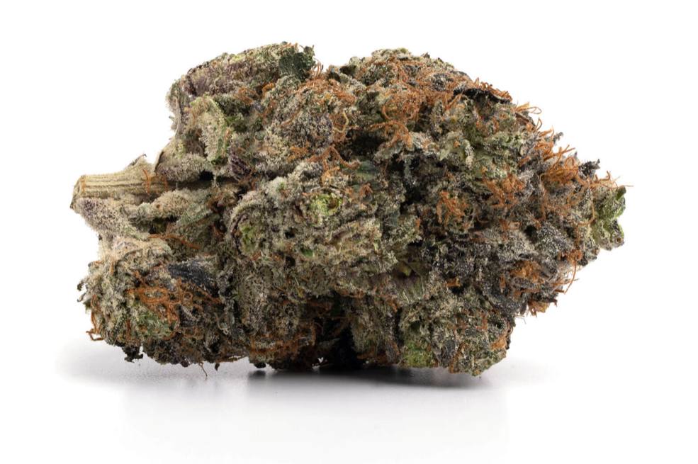 Toronto Cannabis Gasdank