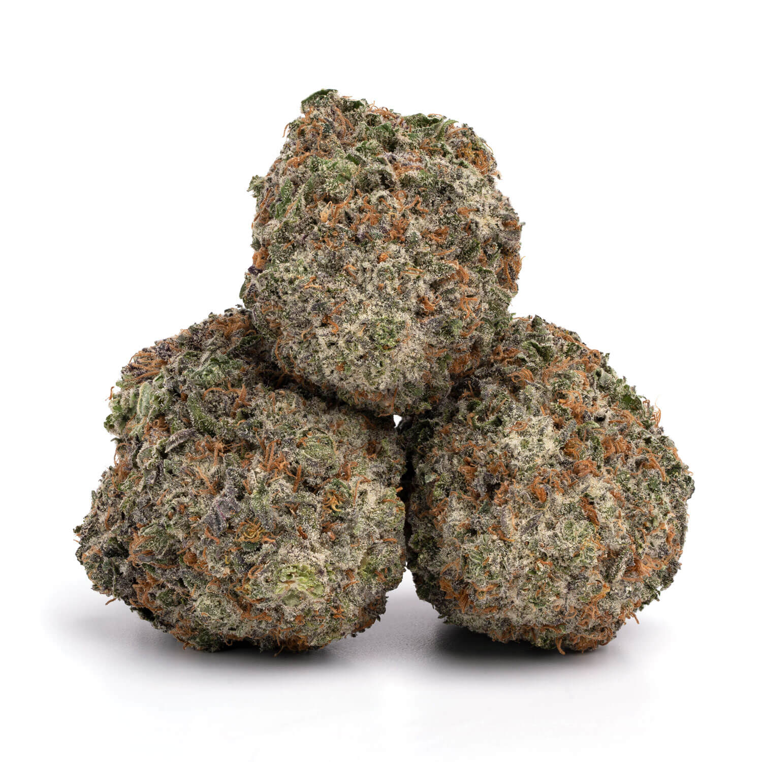 Toronto Cannabis Gasdank