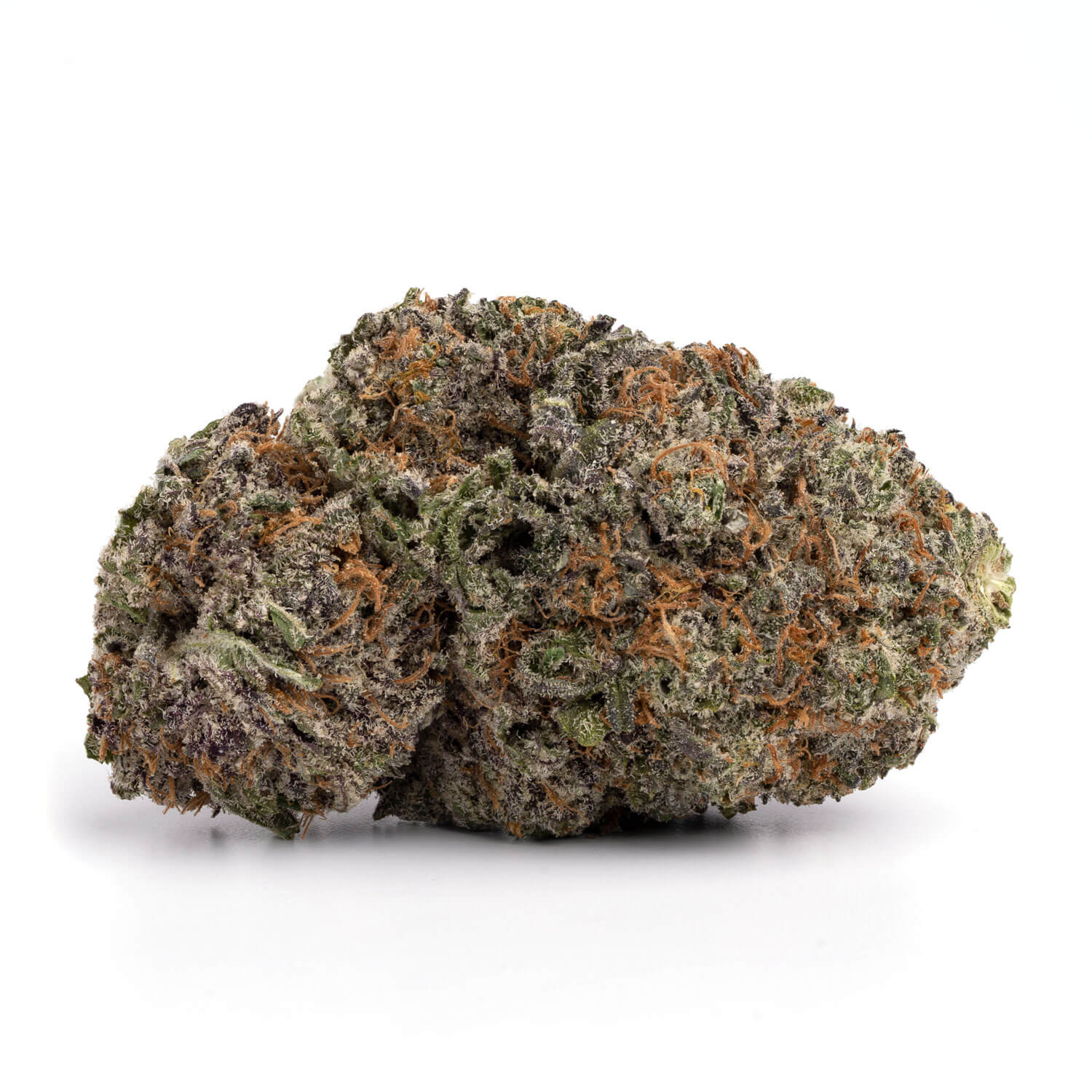 Toronto Cannabis Gasdank