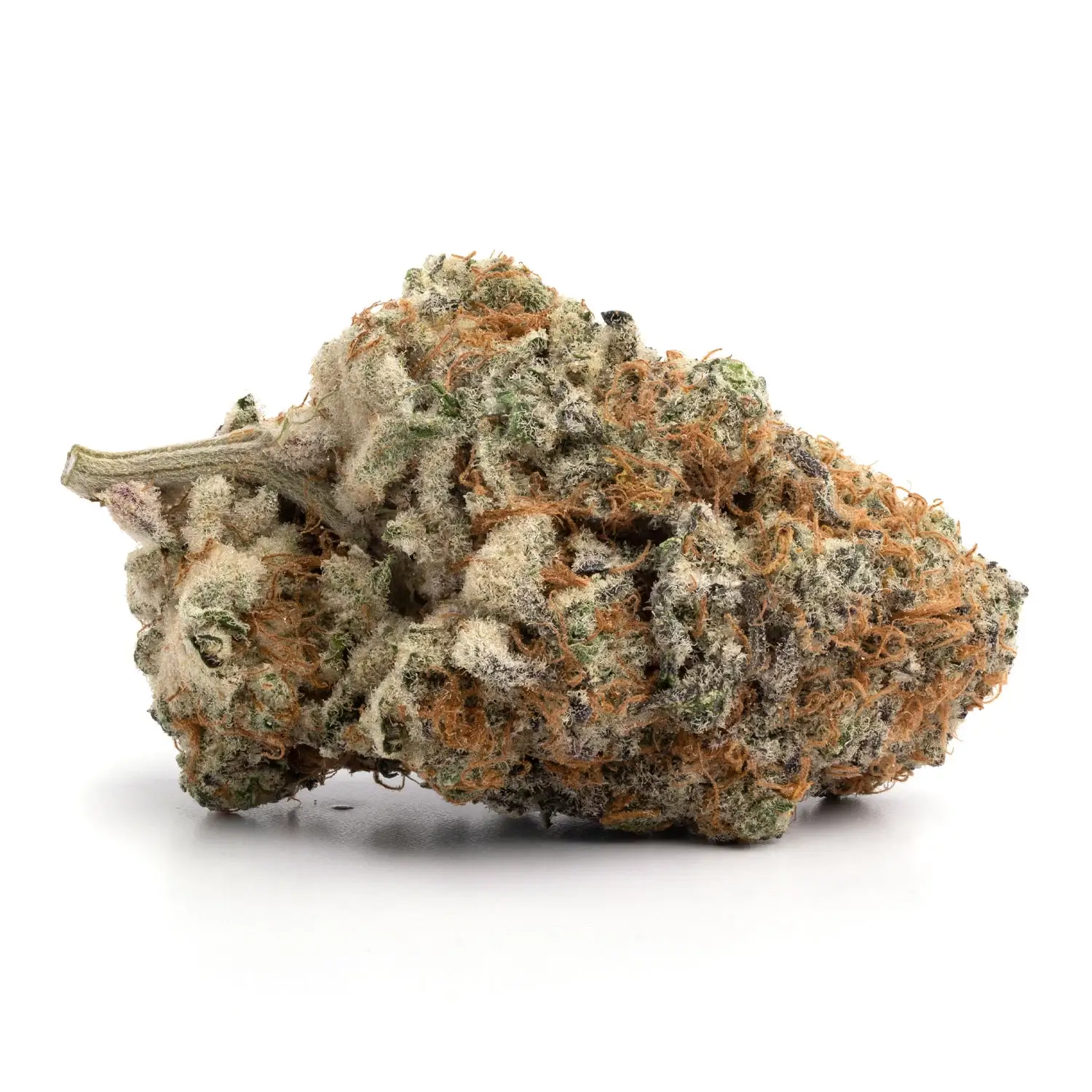 Toronto Cannabis Gasdank