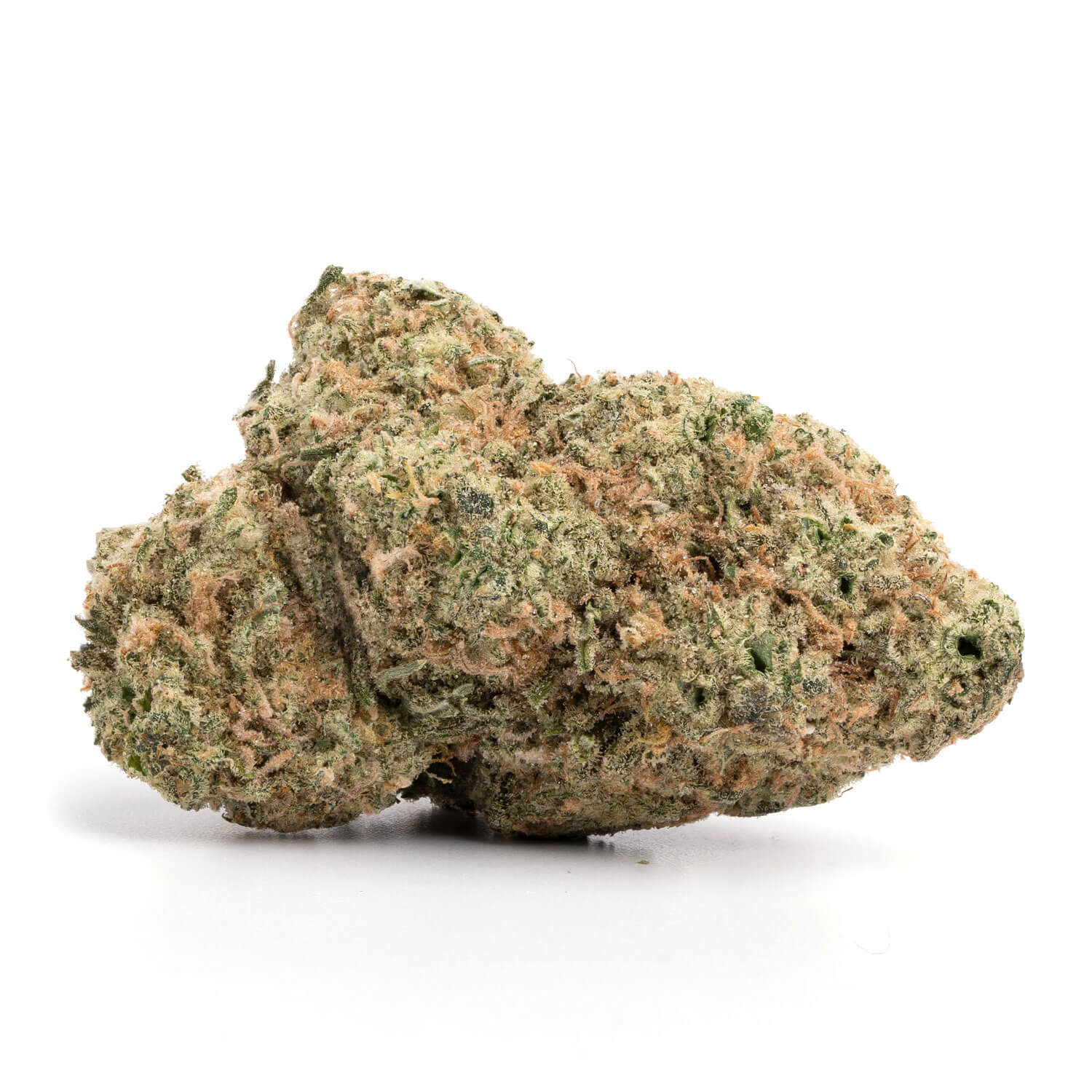 Toronto Cannabis Gasdank
