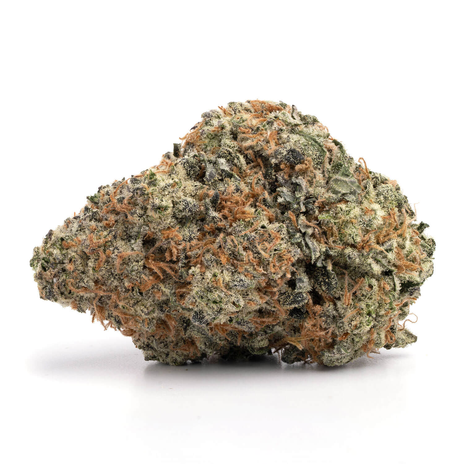 Toronto Cannabis Gasdank