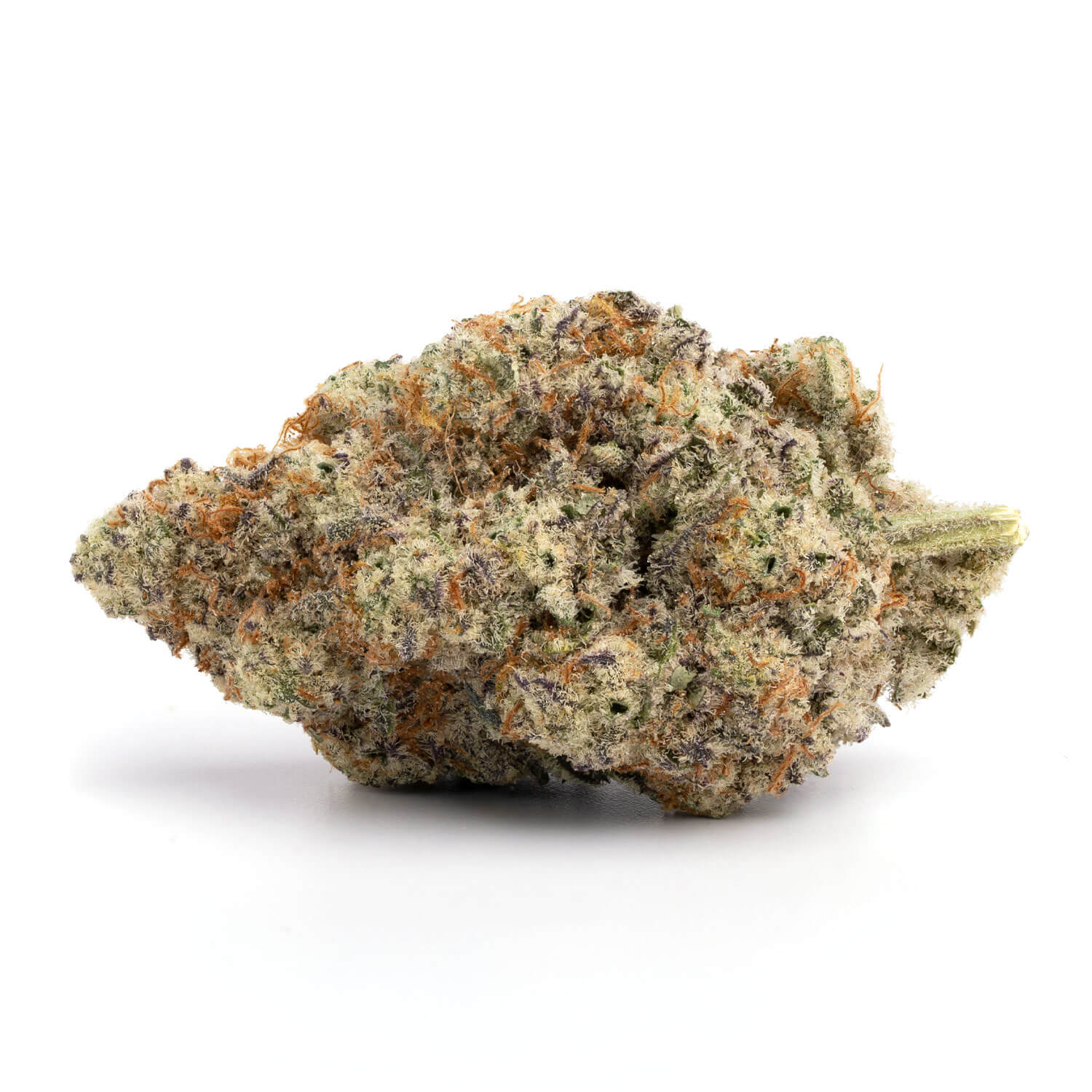 Toronto Cannabis Gasdank